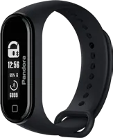 Pandora Band